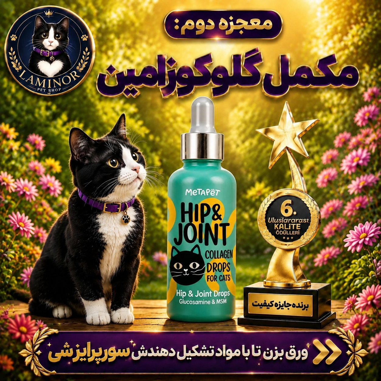 مکمل گلوکوزامین پت گریه